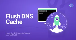 如何在Linux 清除DNS缓存