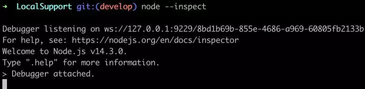 Running node --inspect On The Terminal
