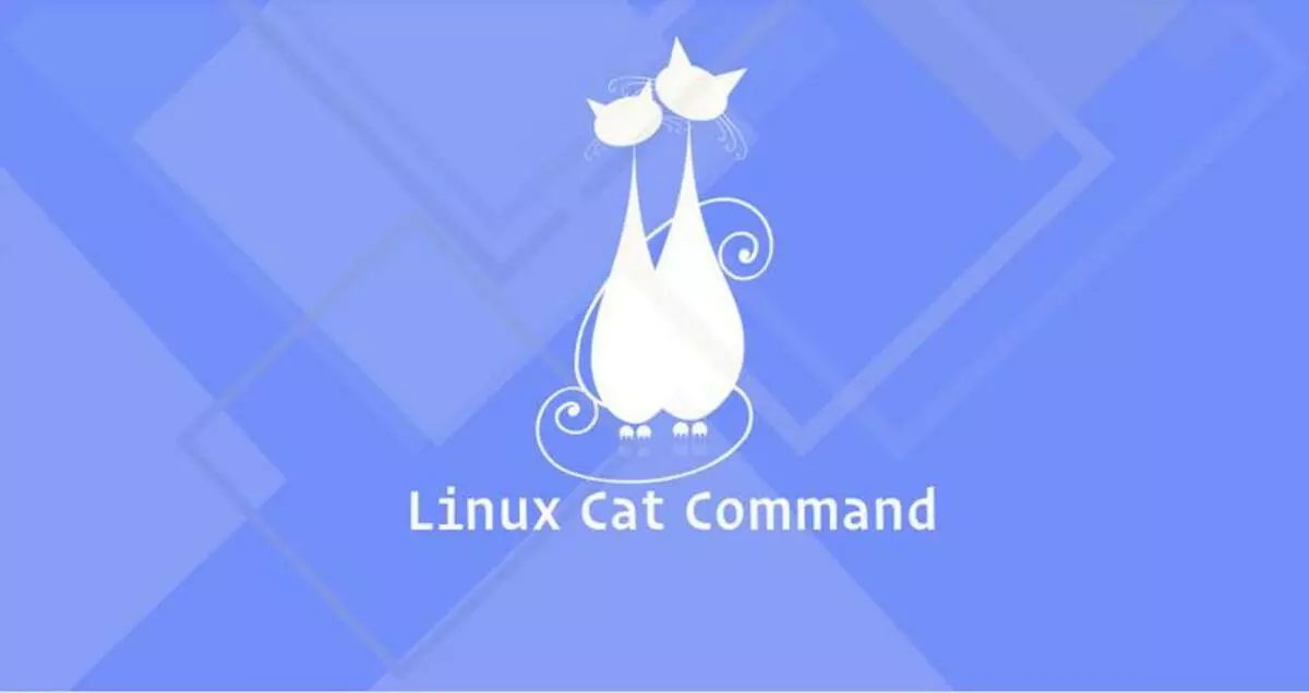 Linux cat 命令查看文件
