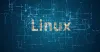 Linux type命令