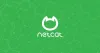 Netcat nc命令示例