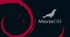 如何在Debian 10安装MariaDB