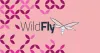 如何在Debian 9上安装WildFly（JBoss）