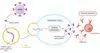 欧盟曝mRNA 疫苗三大新副作用，美国FDA：没有看到相关案例