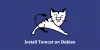 如何在Debian 10安装Tomcat 10