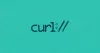 Curl 设置发送 HTTP 请求头 Header