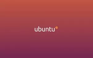 如何查看 Ubuntu 版本号