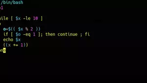 bash shell的while循环