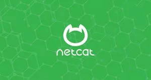 Netcat nc命令示例