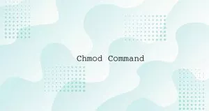 Linux chmod 命令修改文件目录权限