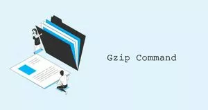 Linux gzip命令