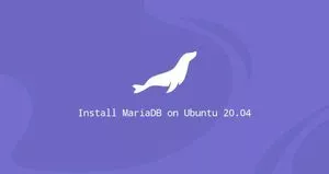 如何在 Ubuntu 20.04 安装MariaDB