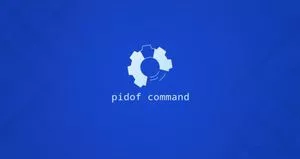 Linux pidof命令查找进程ID