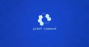 Linux pidof 命令查看进程ID