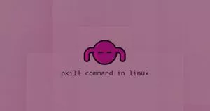 Linux Pkill命令搜索进程并kill进程