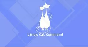 Linux cat命令技巧与详解
