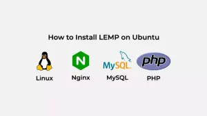 如何在ubuntu 20.04安装Lnmp