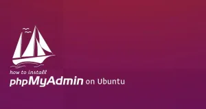 如何在Ubuntu 20.04安装 phpMyAdmin Nginx