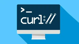 Curl HTTP 重定向