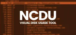 Linux ncdu 终端磁盘可视化工具