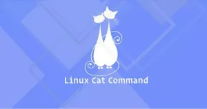 cat 命令重定向文件的内容