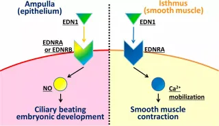 区域智能线路负载