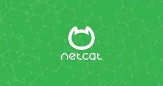 Netcat nc命令示例