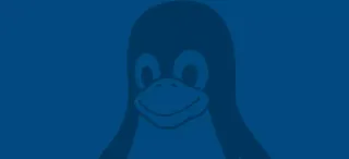 Linux获得内核“锁定”功能
