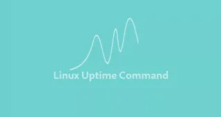 Linux uptime正常运行时间命令