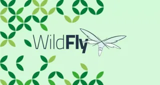 如何在Ubuntu 18.04上安装WildFly(JBoss)