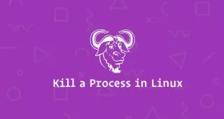 如何终止Linux进程