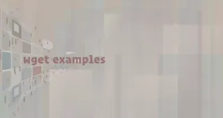 Linux wget 命令下载文件与详解