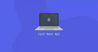 使用Curl发送REST API请求