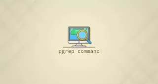 Linux Pgrep命令搜索进程