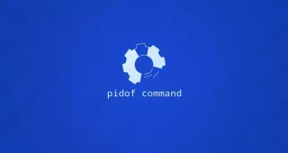 Linux pidof 命令查看进程ID