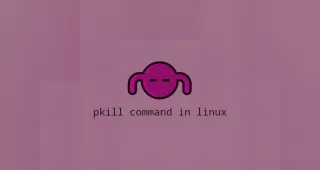 Linux Pkill命令搜索进程并kill进程
