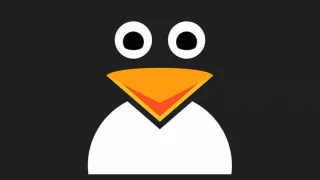 如何在命令行中检查Linux内核版本的3种方法