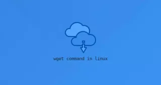 如何在Ubuntu 20.04安装wget命令