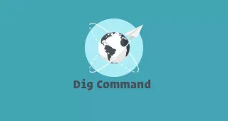 Linux dig命令 DNS查询