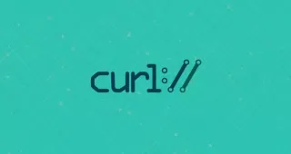 Curl 设置发送 HTTP 请求头 Header