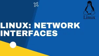 如何在 Ubuntu Linux 查看网卡的详细信息