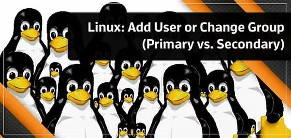 Linux 用户加入组