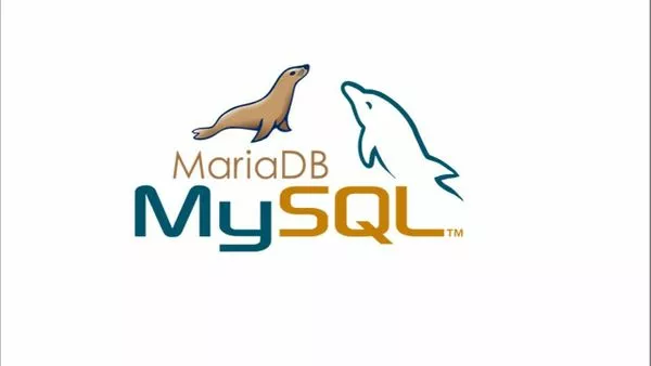 MySQL存储过程与函数