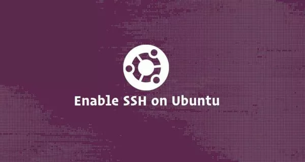 如何在Ubuntu 18.04安装SSH服务器