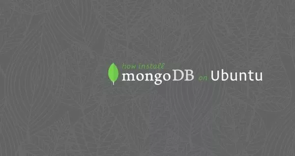 如何在Ubuntu 18.04安装MongoDB