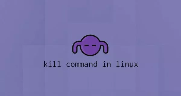 Linux kill命令终止进程