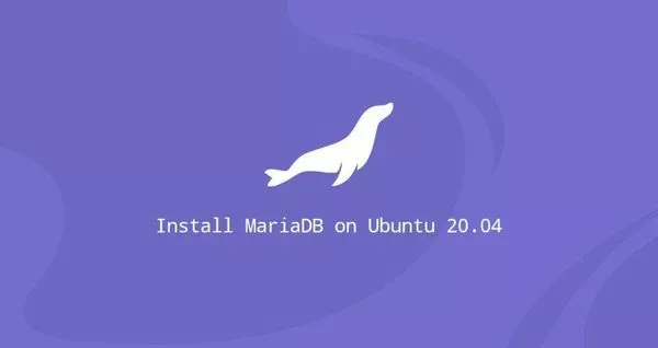 如何在 Ubuntu 20.04 安装MariaDB