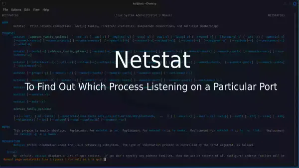Linux netstat命令