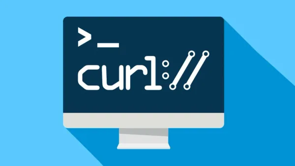 Curl HTTP 重定向