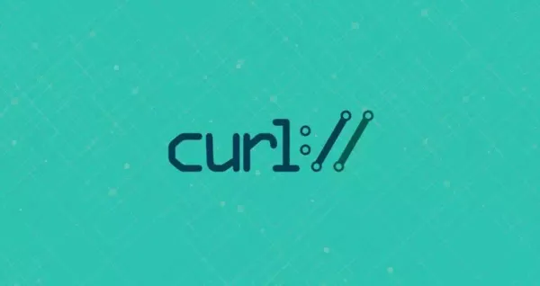 Curl 设置发送 HTTP 请求头 Header